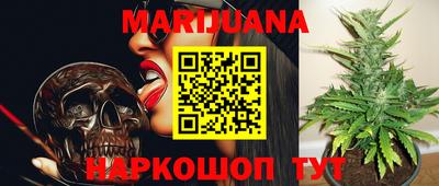 apvp Краснодар