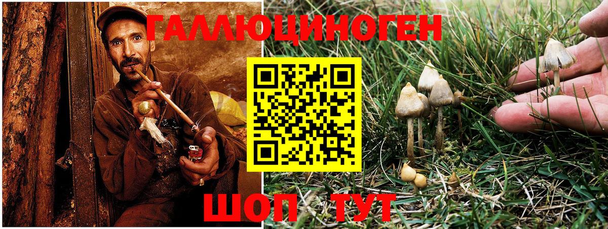 Псилоцибиновые грибы Magic Shrooms Армавир